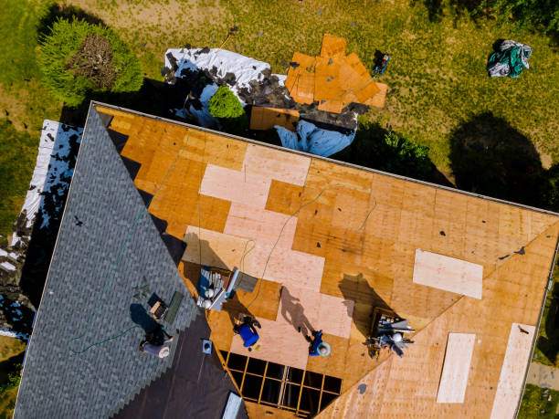 Best Flat Roof Repair Services  in Breckenridge, MN