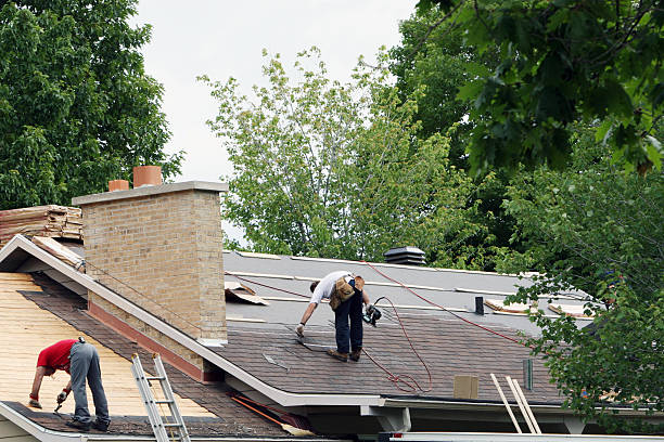 Best Roof Leak Repair  in Breckenridge, MN