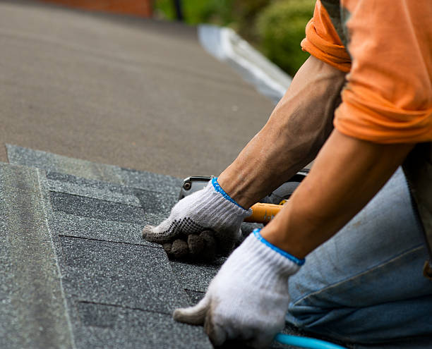 Best Roof Restoration Services  in Breckenridge, MN