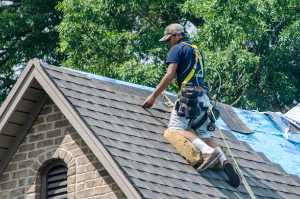Best Local Roofing Companies  in Breckenridge, MN